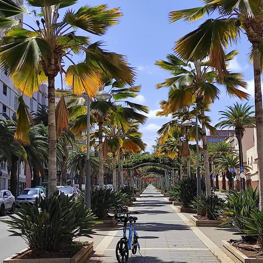 Apartamento Bien Situado - Buenas Conexiones Santa Cruz de Tenerife Buitenkant foto
