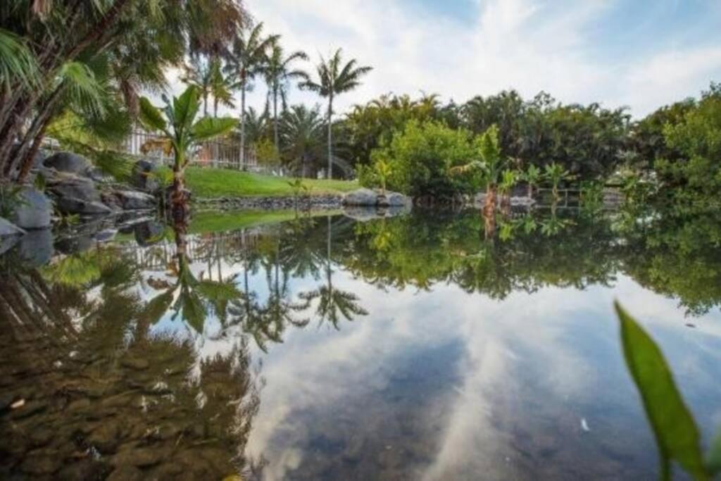 Apartamento Bien Situado - Buenas Conexiones Santa Cruz de Tenerife Buitenkant foto