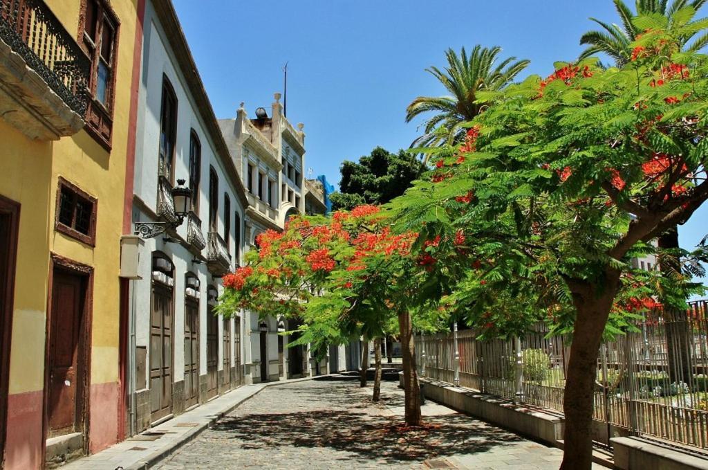 Apartamento Bien Situado - Buenas Conexiones Santa Cruz de Tenerife Buitenkant foto