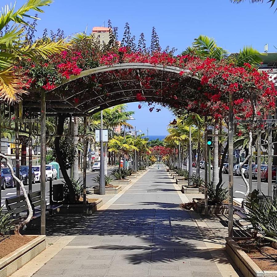 Apartamento Bien Situado - Buenas Conexiones Santa Cruz de Tenerife Buitenkant foto